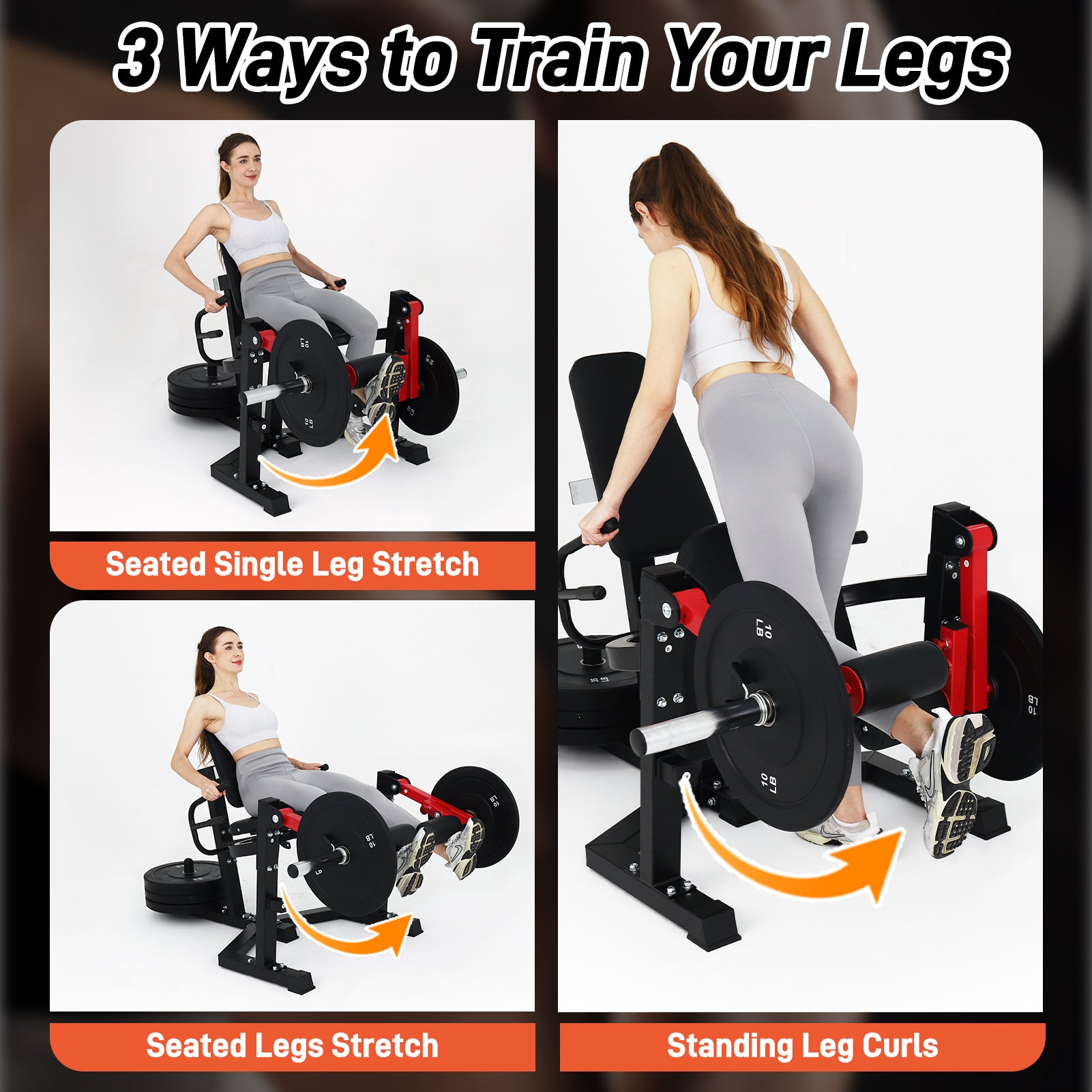 Gymusclo 3 in 1 Leg Extension & Curl Machine