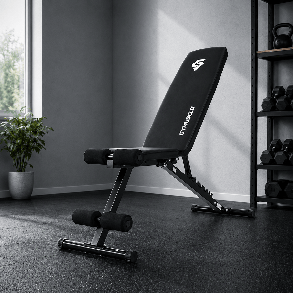 O1 Adjustable Dumbbell Bench