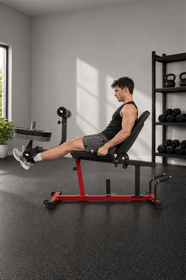 Leg Extension