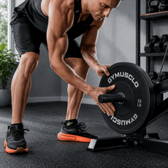 Plate Loaded Bicep & Tricep Machine