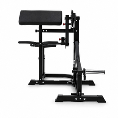 Plate Loaded Bicep & Tricep Machine